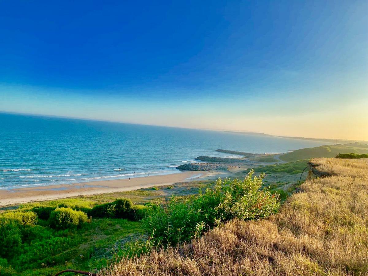 Forest & Beach Access Naish Park Apartment Ню Милтън Екстериор снимка